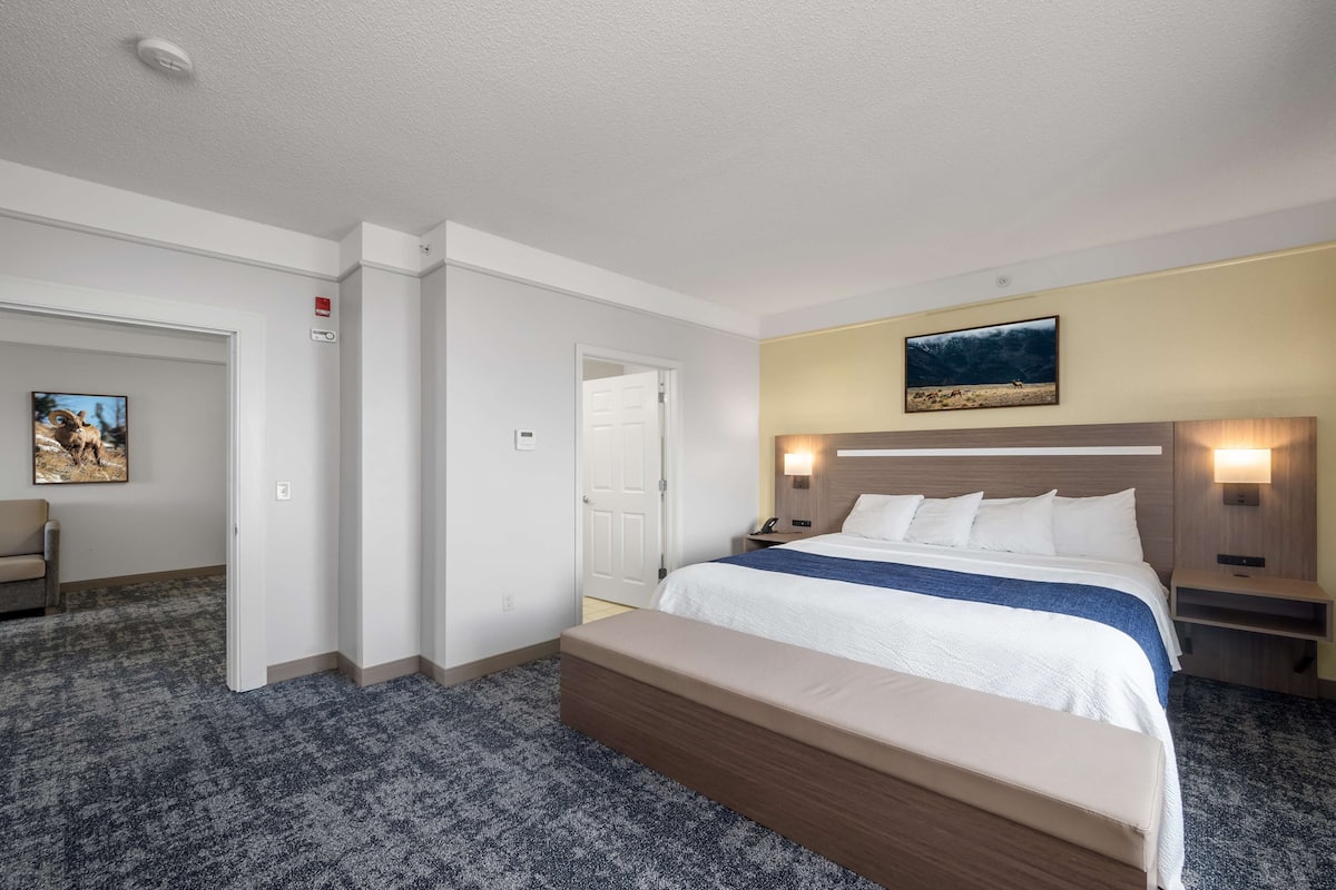 Suite, 1 Katil Raja (King), Non Smoking, Refrigerator & Microwave (Living Room;with Sofabed) | Peralatan tempat tidur premium, tilam berlapik, peti besi dalam bilik