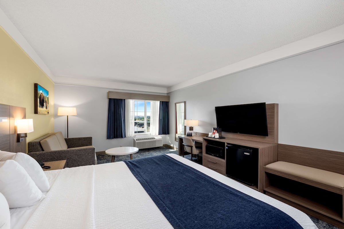 Une chambre d’hôtel avec un grand lit, un bureau, une télévision et une fenêtre avec des rideaux.