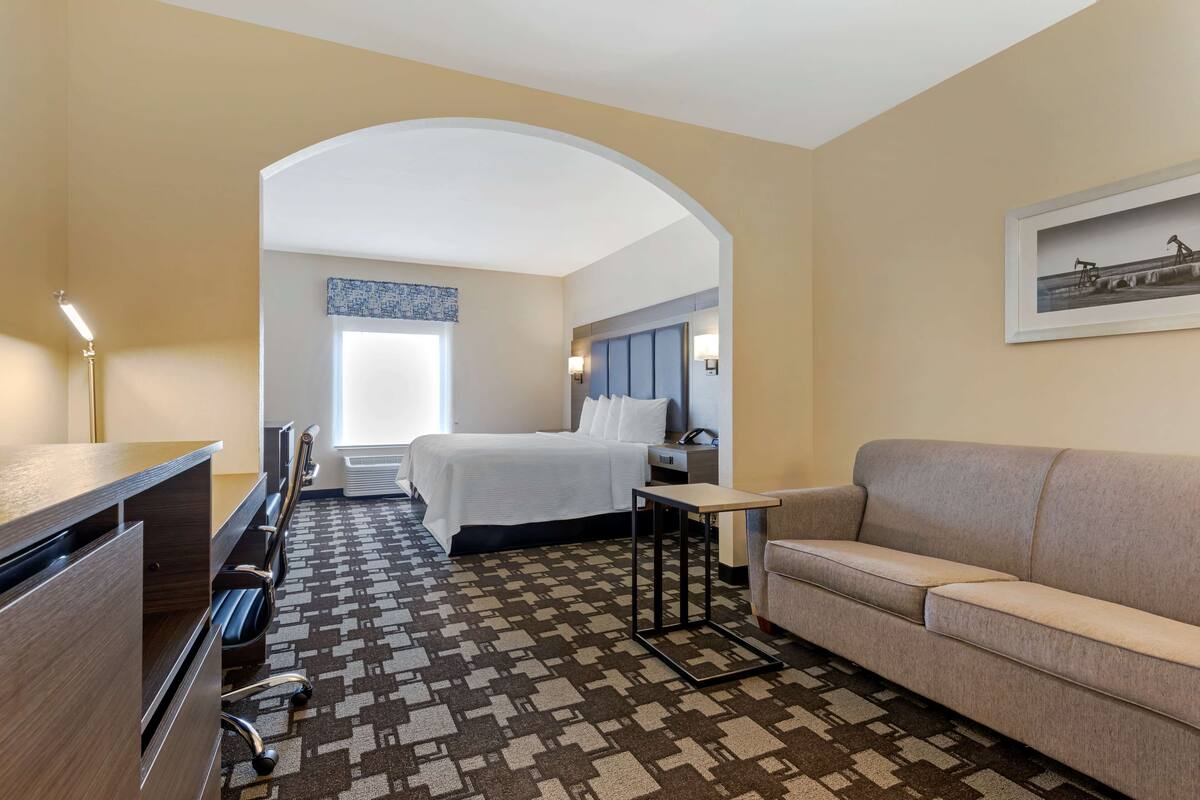 A hotel room with a bed, a sofa, a desk, and a patterned carpet.