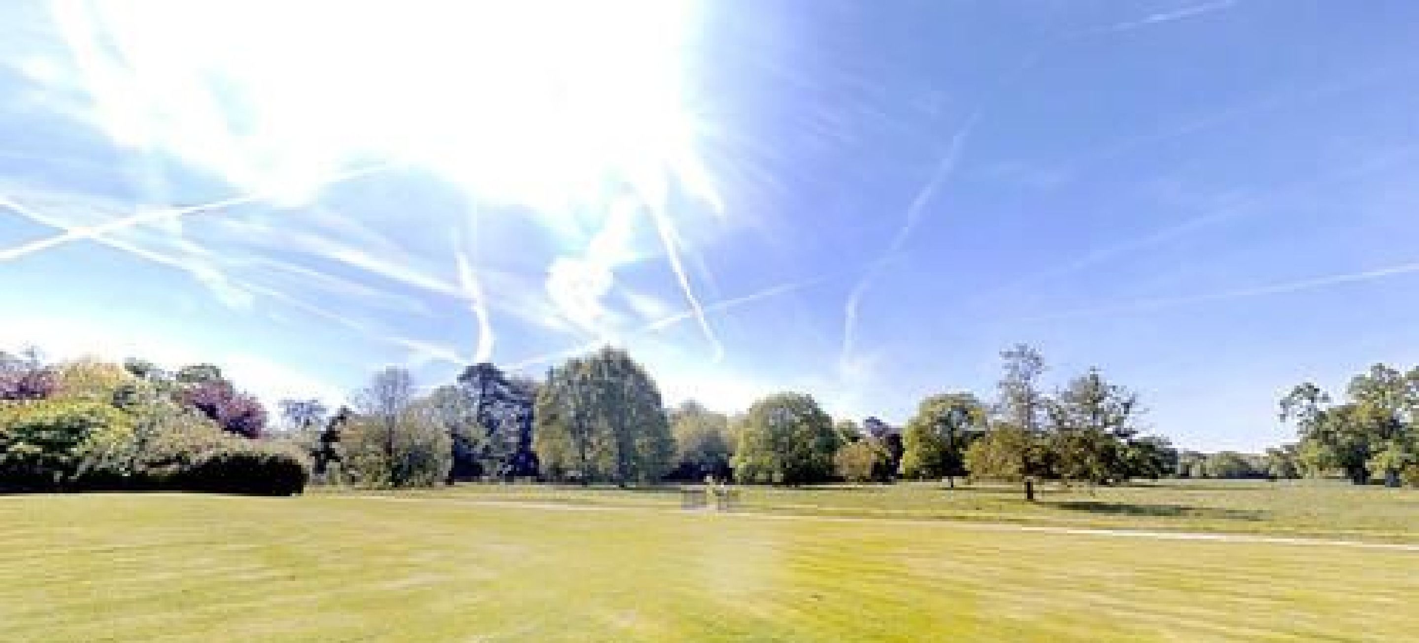 Een uitgestrekt, open veld met bomen in de verte en een heldere lucht.