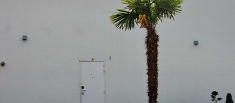 Campanile Albi Centre