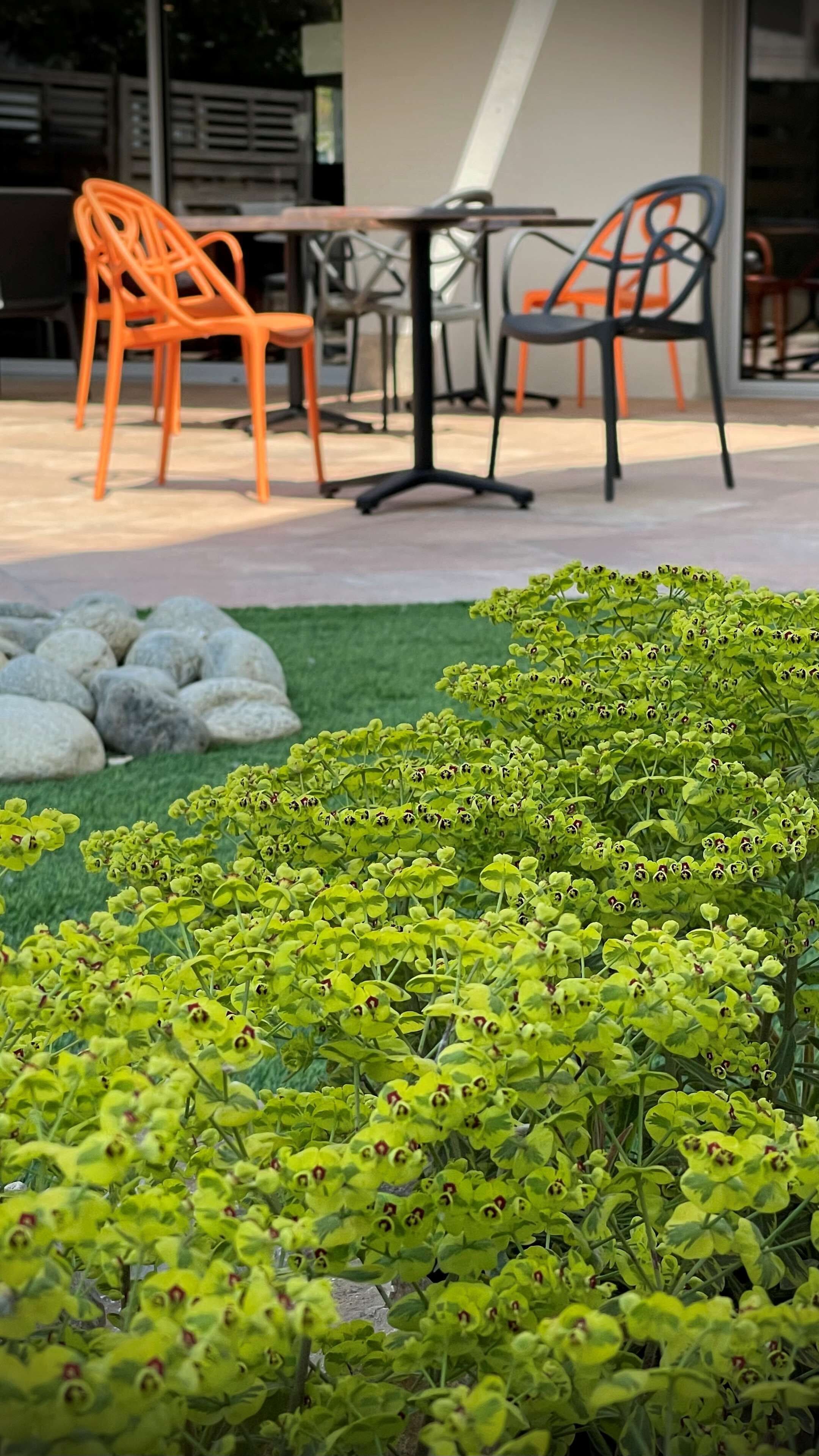 Un espacio exterior con asientos de color naranja y negro, una mesa y un jardín con plantas verdes.