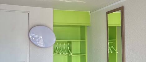 A room with a green closet, a white door, and a mirror.
