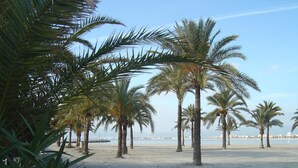Een strand met palmbomen en helder uitzicht op zee.