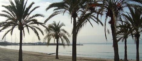 Una spiaggia nelle vicinanze