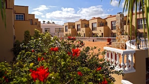 Garden - Maxorata Beach (La Oliva)