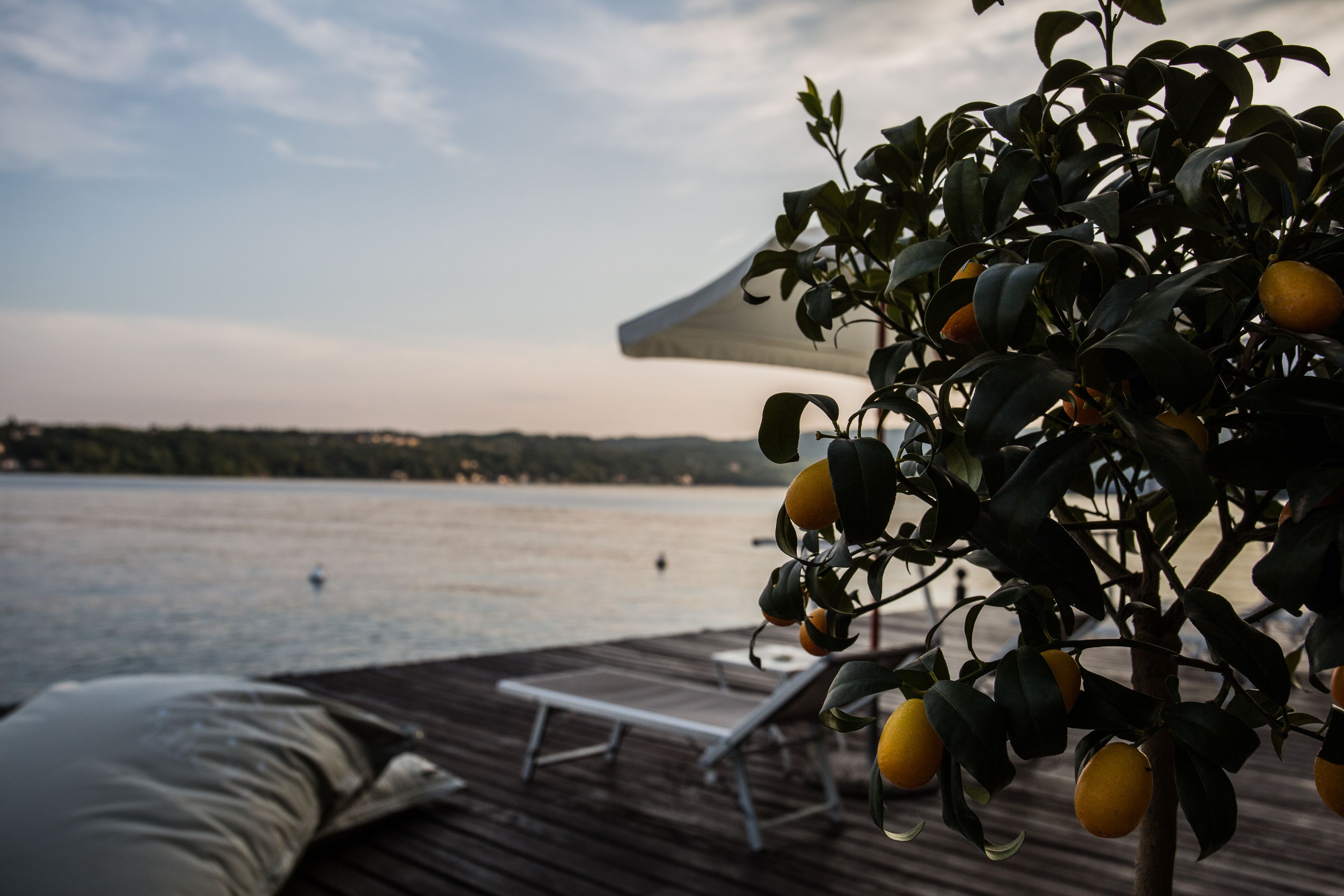 Terraza con una silla de descanso y una mesa, con vista a un cuerpo de agua y un árbol frutal.