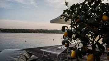 Terraza con una silla de descanso y una mesa, con vista a un cuerpo de agua y un árbol frutal.