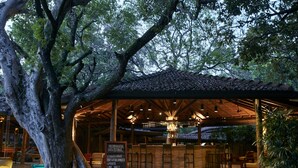 Un área de estar al aire libre con una pérgola de madera, un menú en una pizarra y un árbol grande.