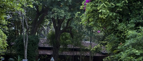 A traditional building with a tiled roof, surrounded by lush greenery and trees.