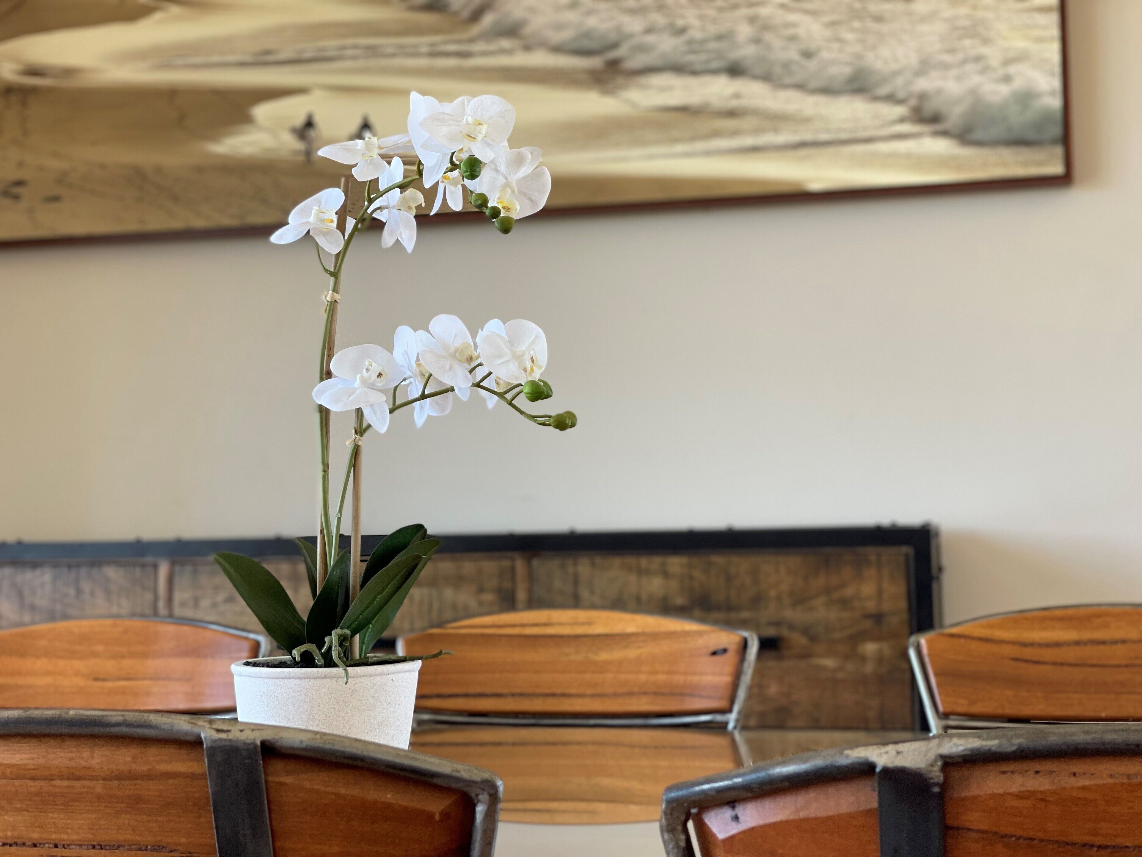 A potted orchid on a wooden chair with a rustic wall and a painting in the background.