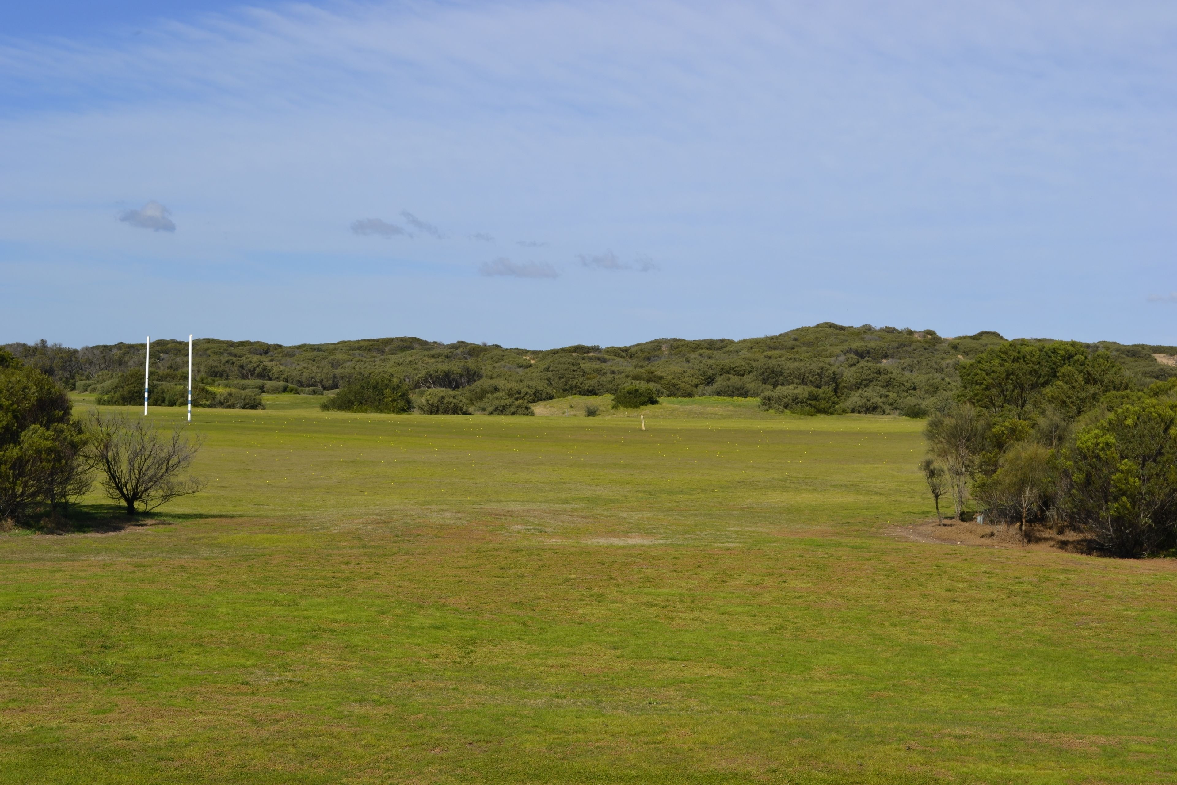 Un campo cubierto de césped con árboles y un poste blanco a lo lejos.