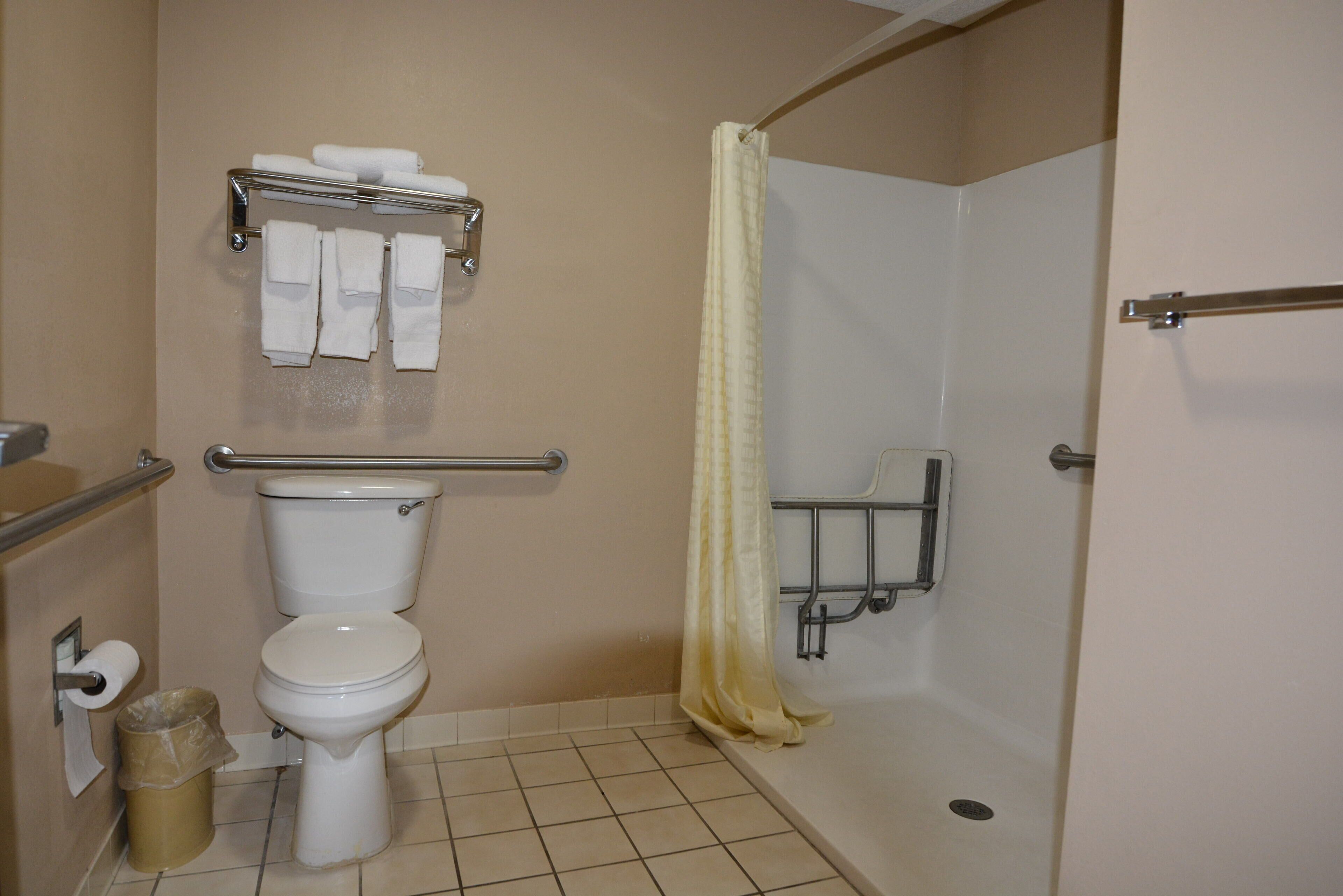 combined shower/bathtub, free toiletries, hair dryer, towels