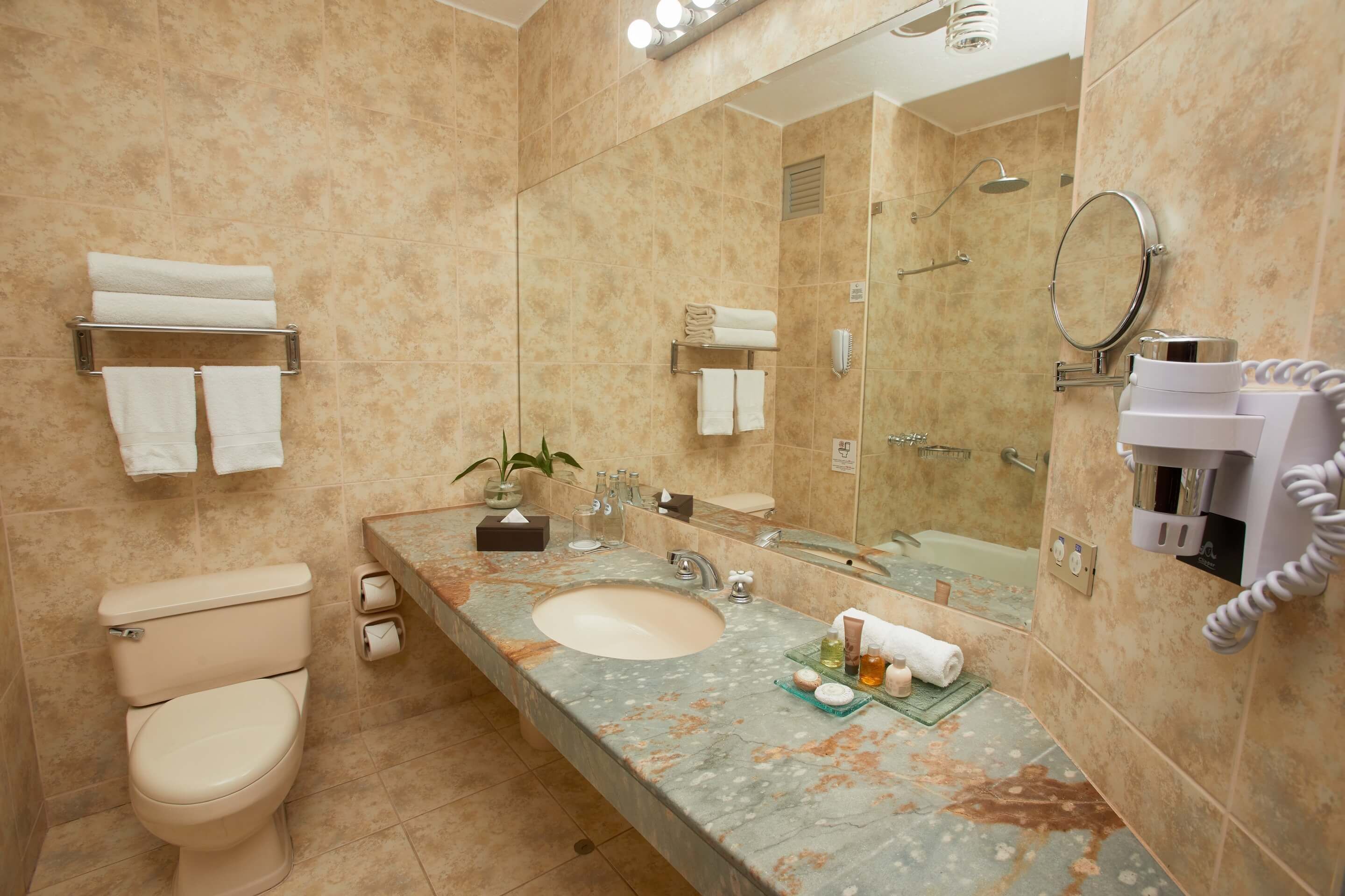 Een badkamer met toilet, wastafel en douche. Handdoeken liggen op een rek, er is een spiegel en een haardroger bevestigd aan de muur.