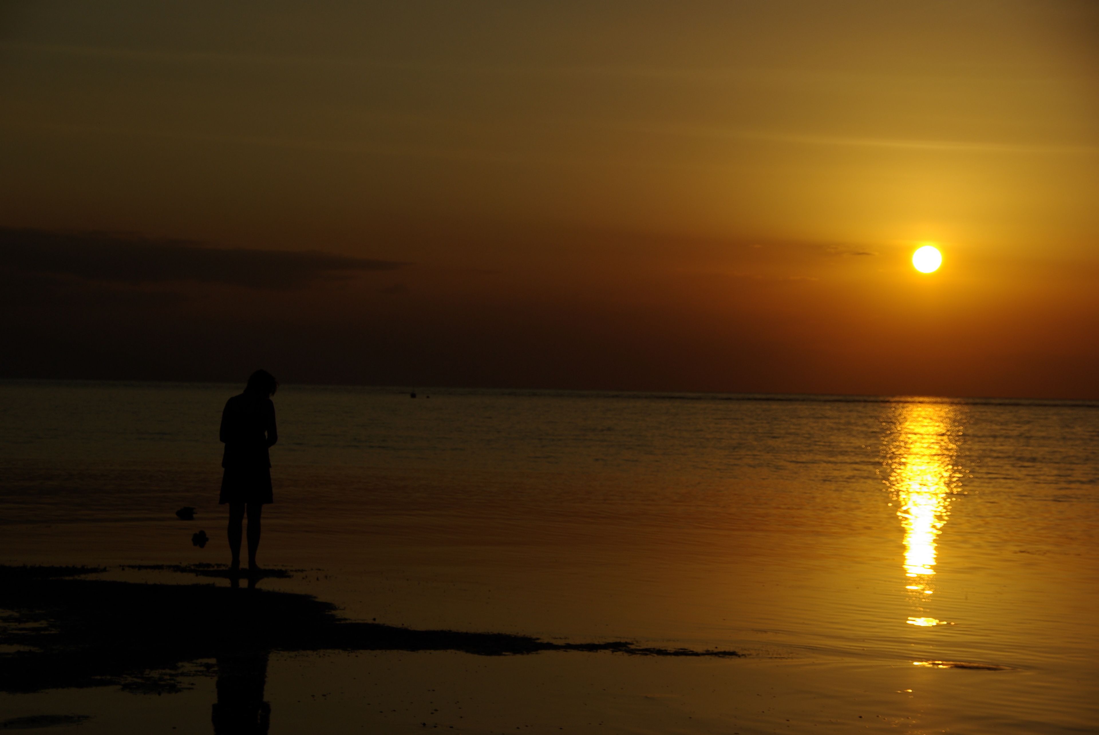 A silhouette of a person standing on a beach at sunset.