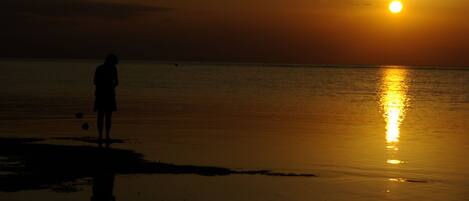 A silhouette of a person standing on a beach at sunset.