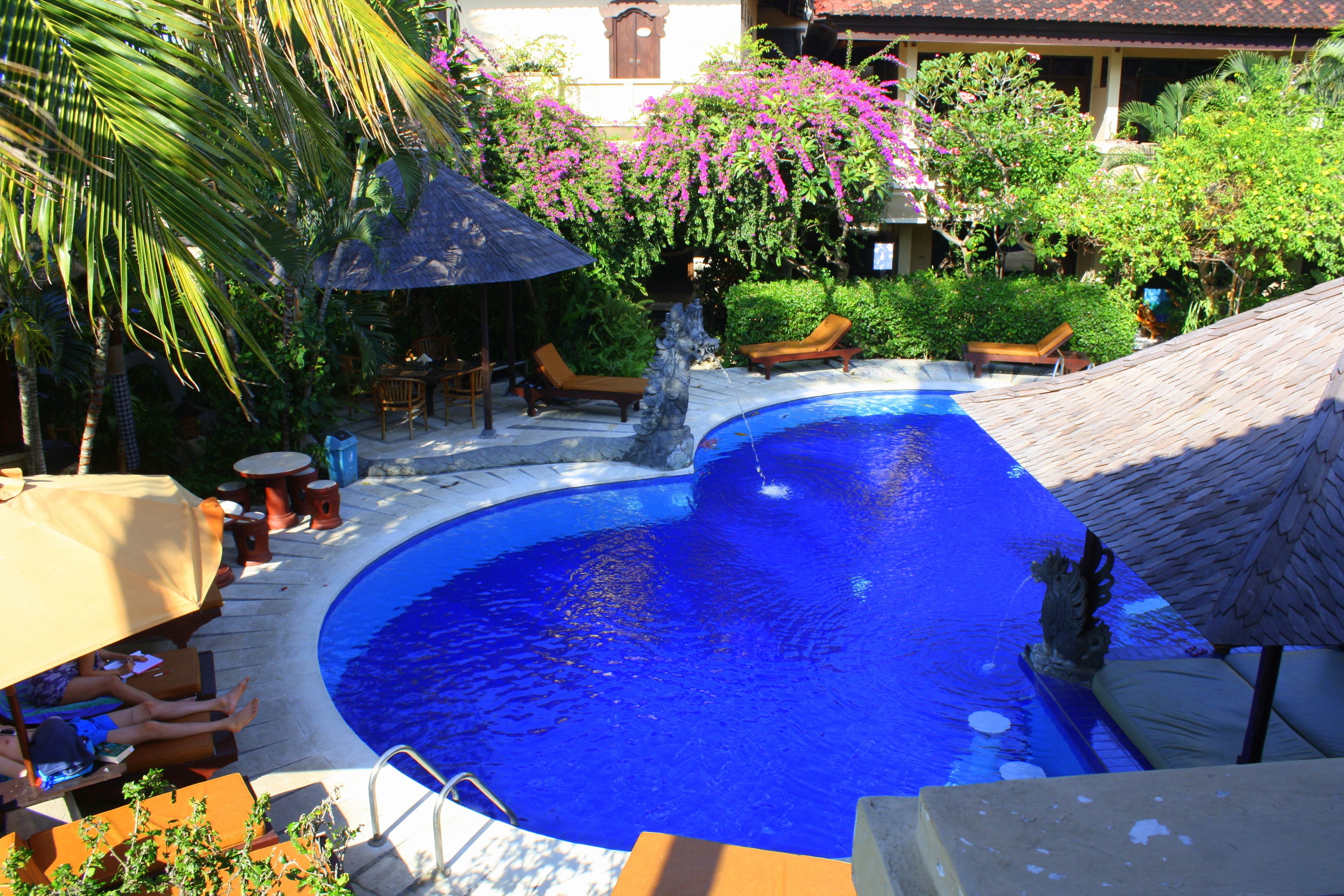 Piscina con sillas de descanso y sombrillas, rodeada de abundante vegetación y una estructura de techo de paja.