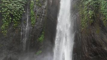 Una cascada se precipita por un acantilado rocoso, rodeada de abundante vegetación.