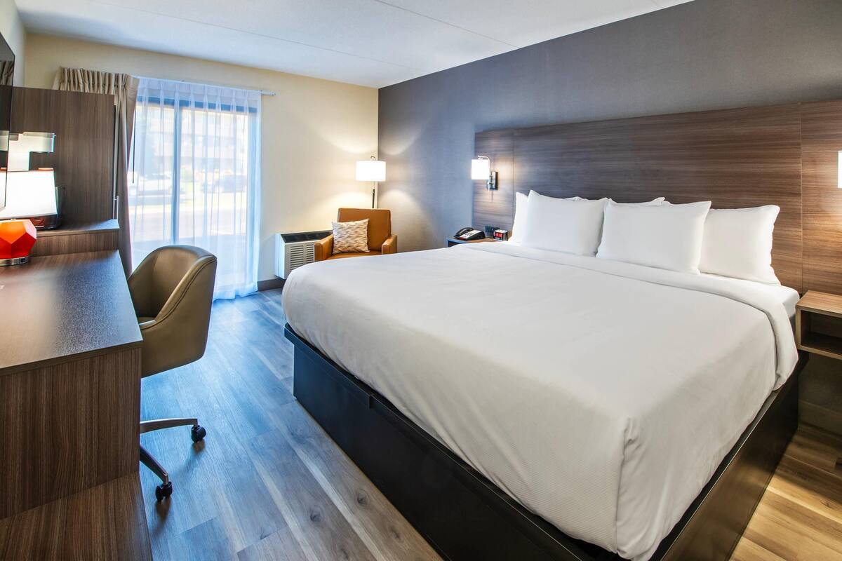Standard Room, 1 King Bed, Non Smoking