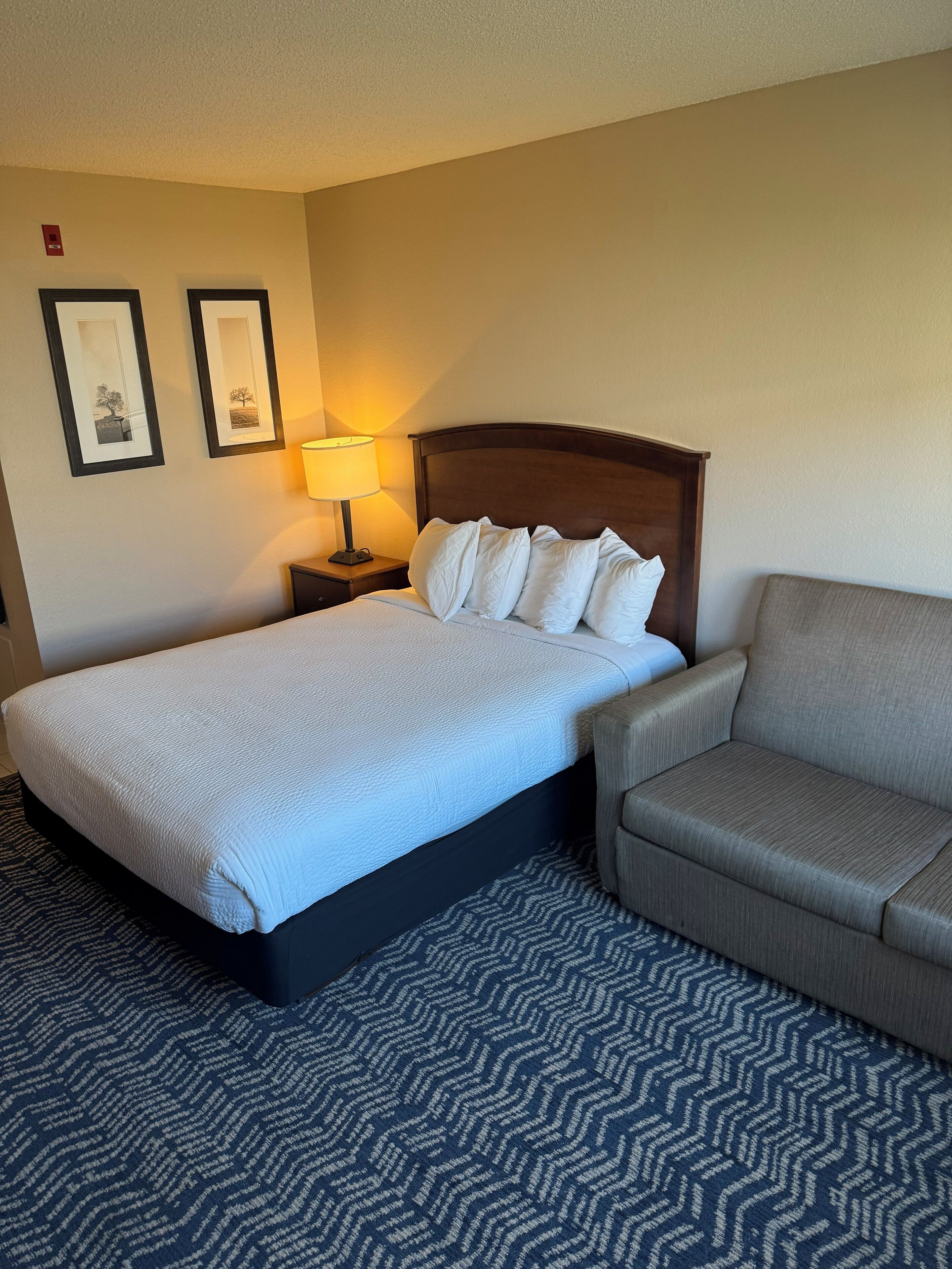 Escritorio, cortinas blackout y tabla de planchar con plancha 