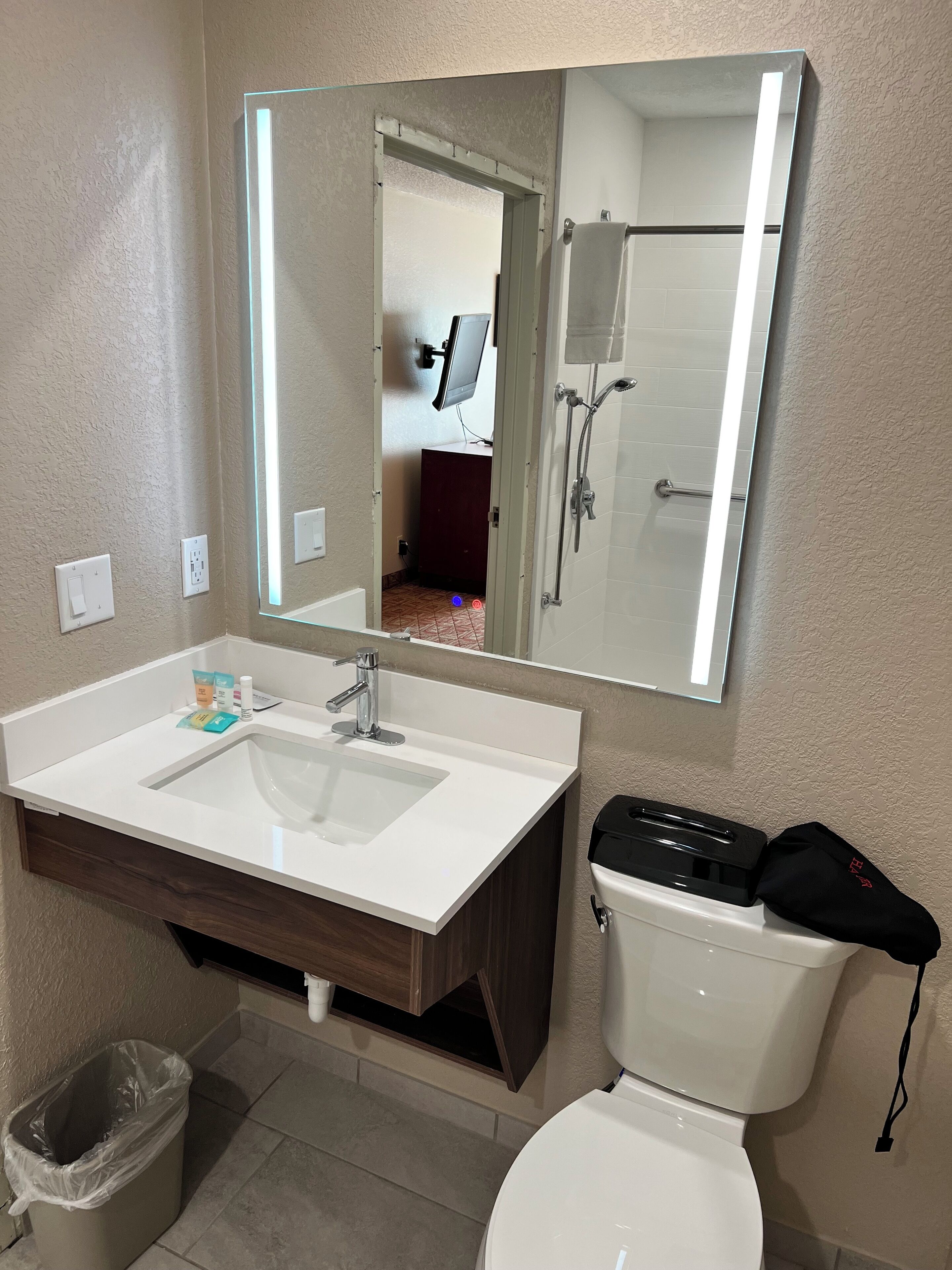 room, 1 king bed with sofa bed (accessible one king bed and sofa slee) | bathroom | free toiletries, hair dryer, towels, soap