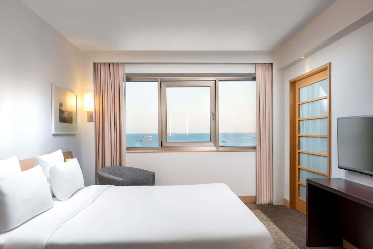 Suite, 1 Queen Bed with Sofa bed