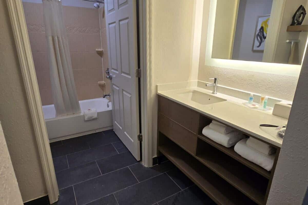 hair dryer, towels, soap, shampoo