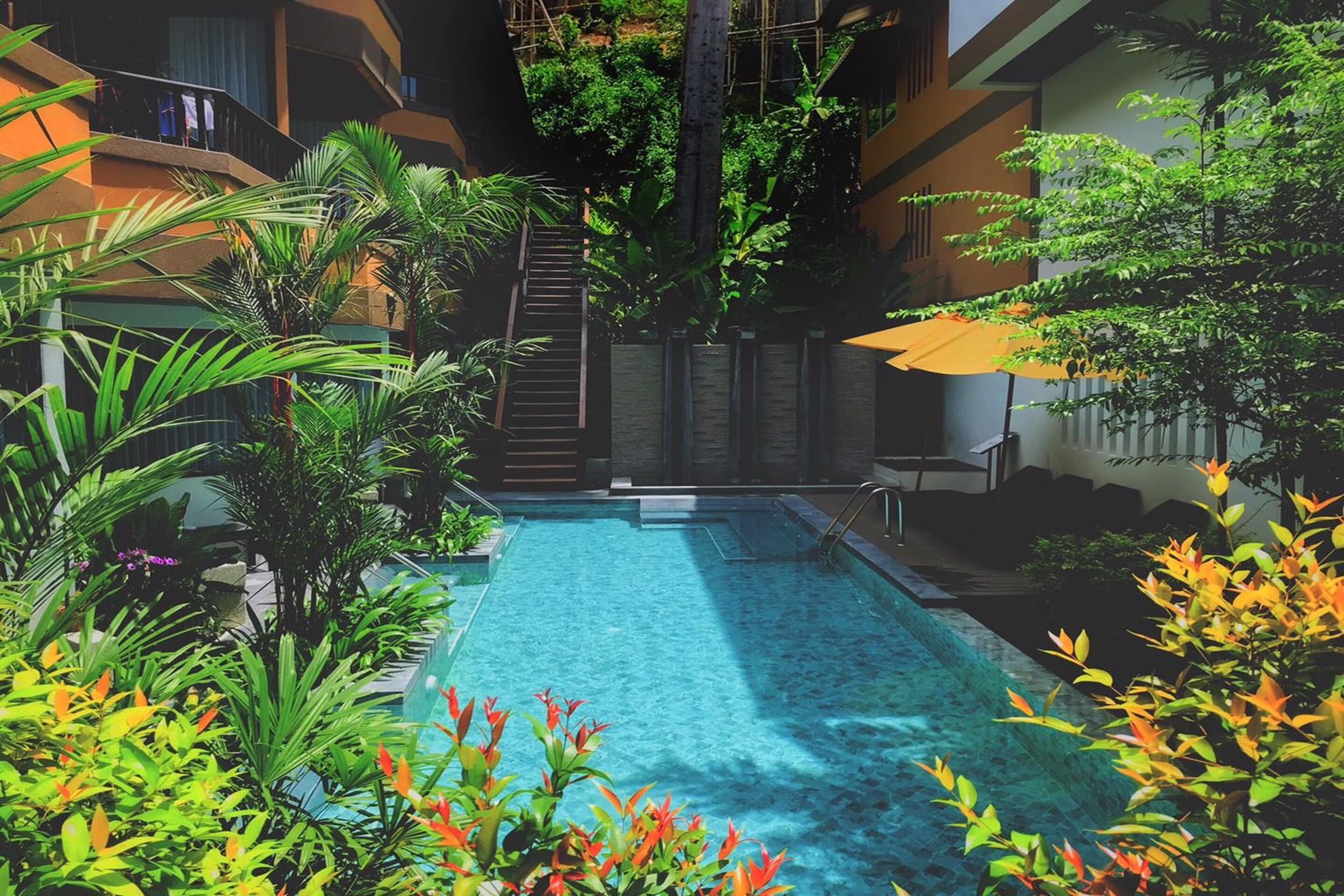 Deluxe Pool Access  | 客房景观