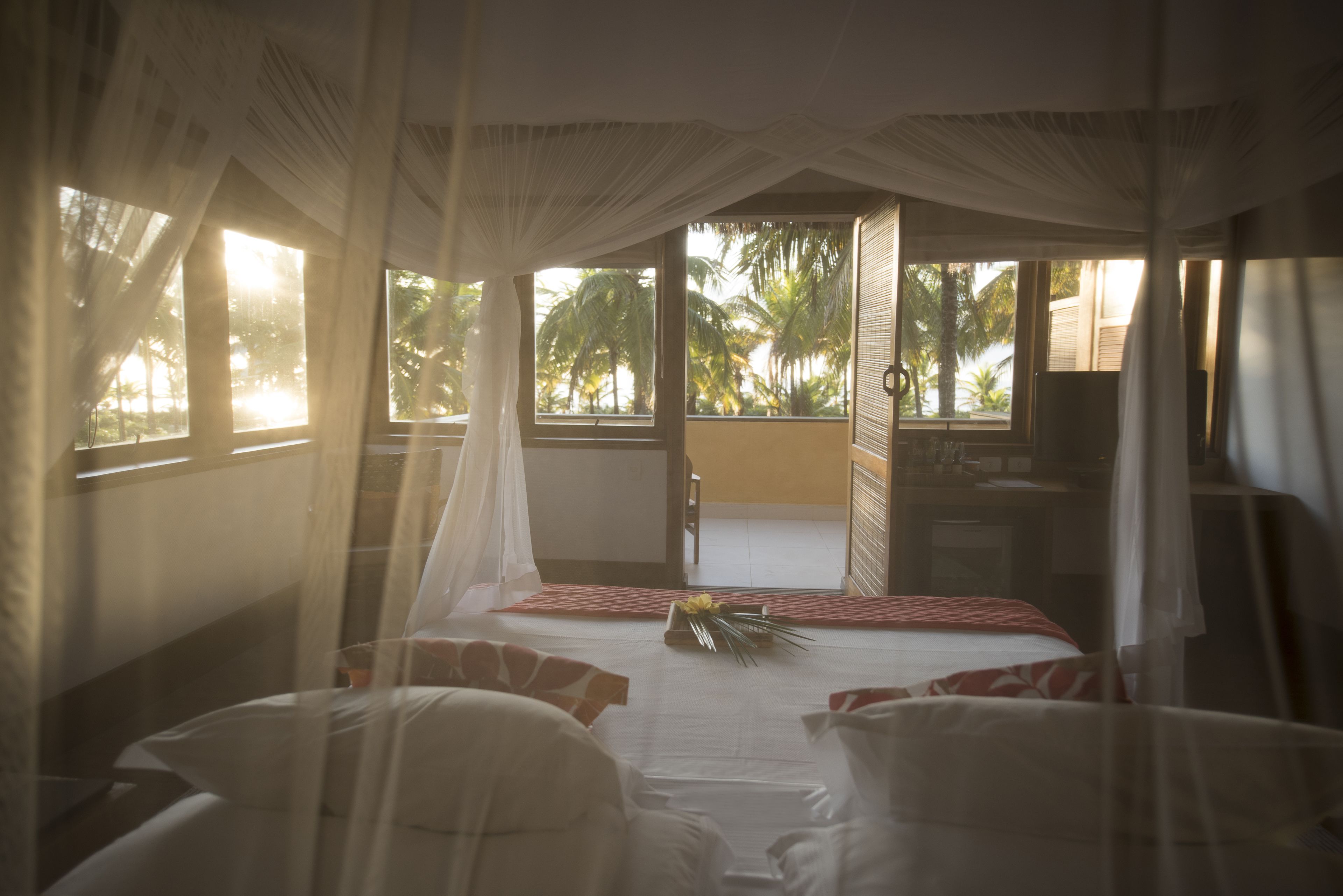 A room with a bed, a desk, and a view of palm trees through large windows.