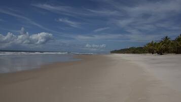Una playa extensa con cielo despejado y palmeras al fondo.