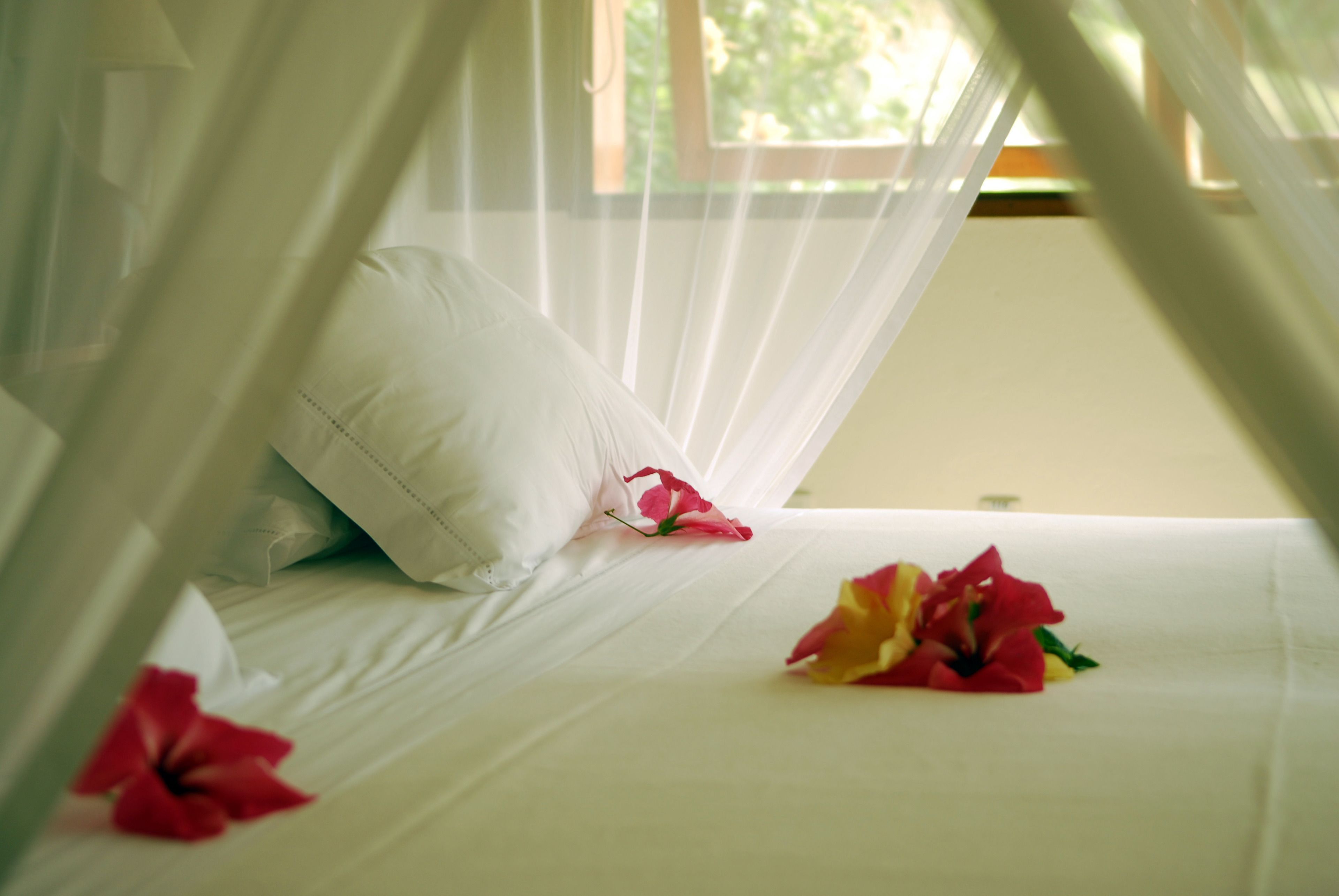 A bed with white linens, a white pillow, and a mosquito net.