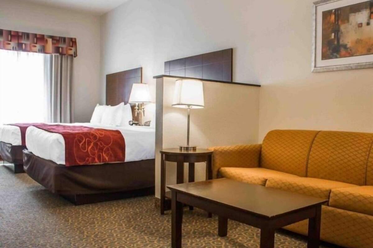 Une chambre d’hôtel avec un lit, un canapé, une table, une lampe et un tableau au mur.