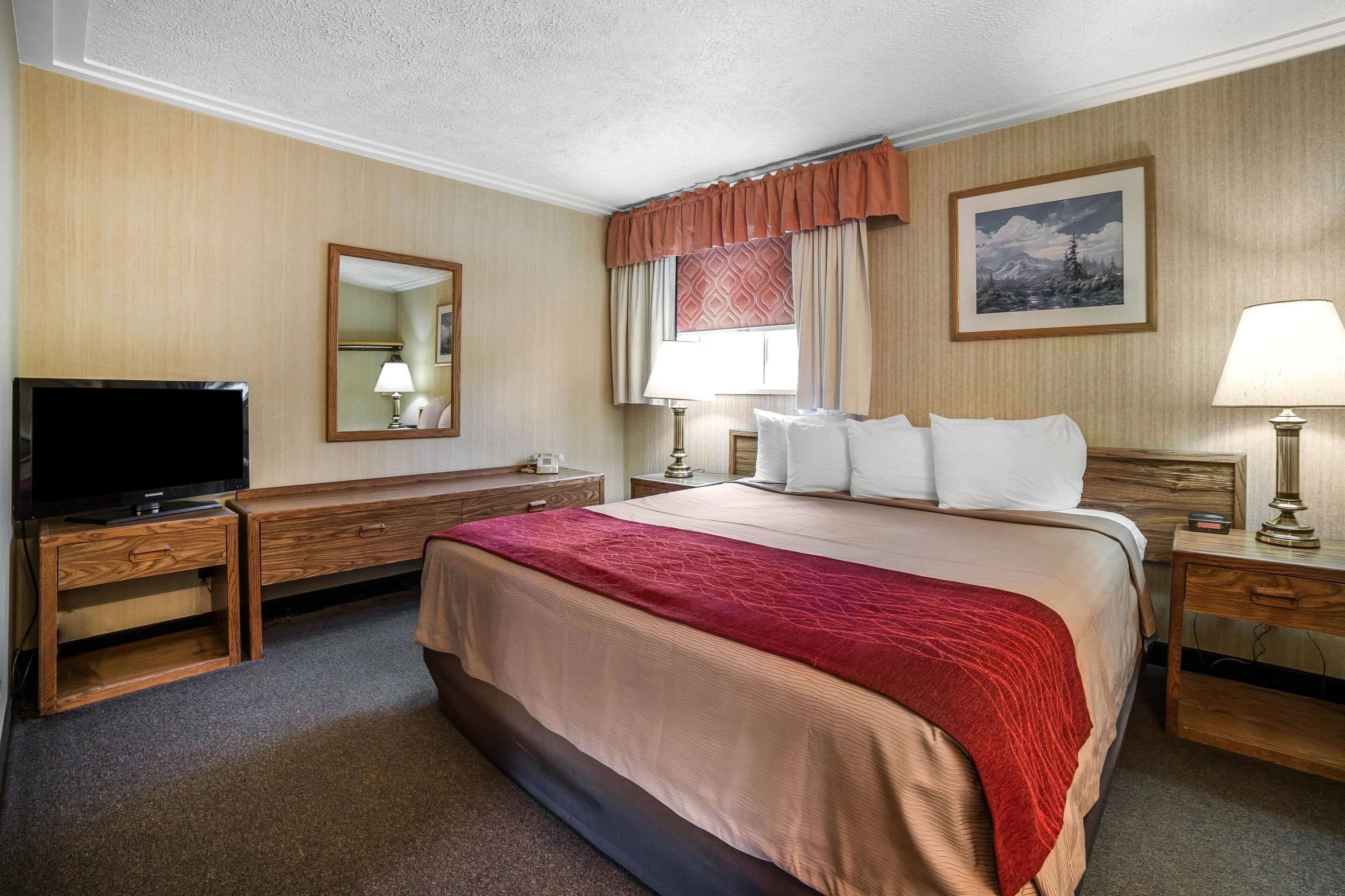 A hotel room with a large bed, a television on a wooden dresser, a window with curtains, a painting on the wall, and a bedside lamp.