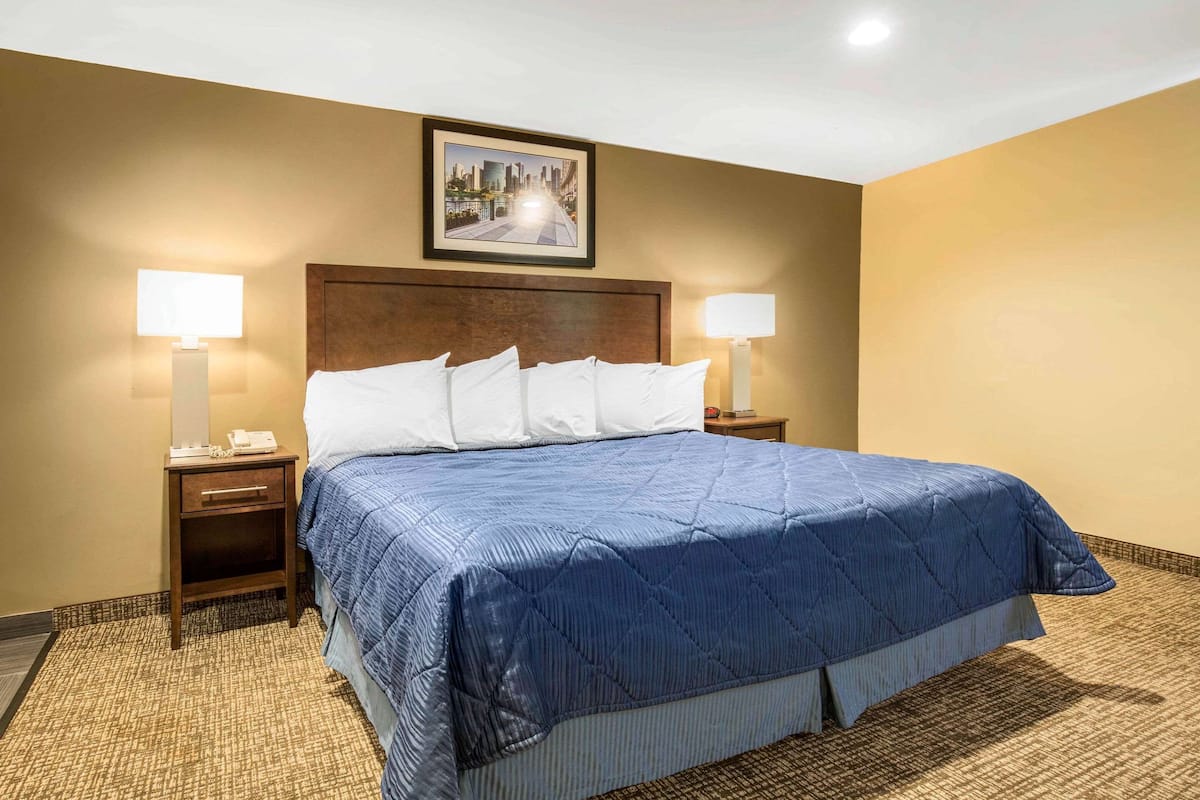 Suite, 1 King Bed, Non Smoking | 1 bedroom, cribs/infant beds, free WiFi, bed sheets