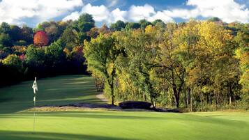 Enjoy a round of golf on our well-maintained putting green surrounded by beautiful trees.