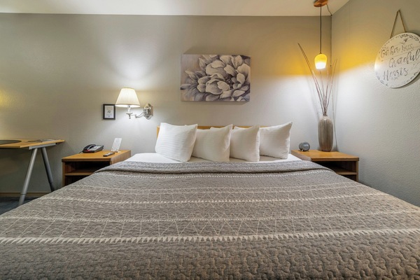 Iron/ironing board, rollaway beds, free WiFi, bed sheets