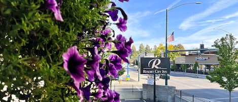 Entrada al alojamiento