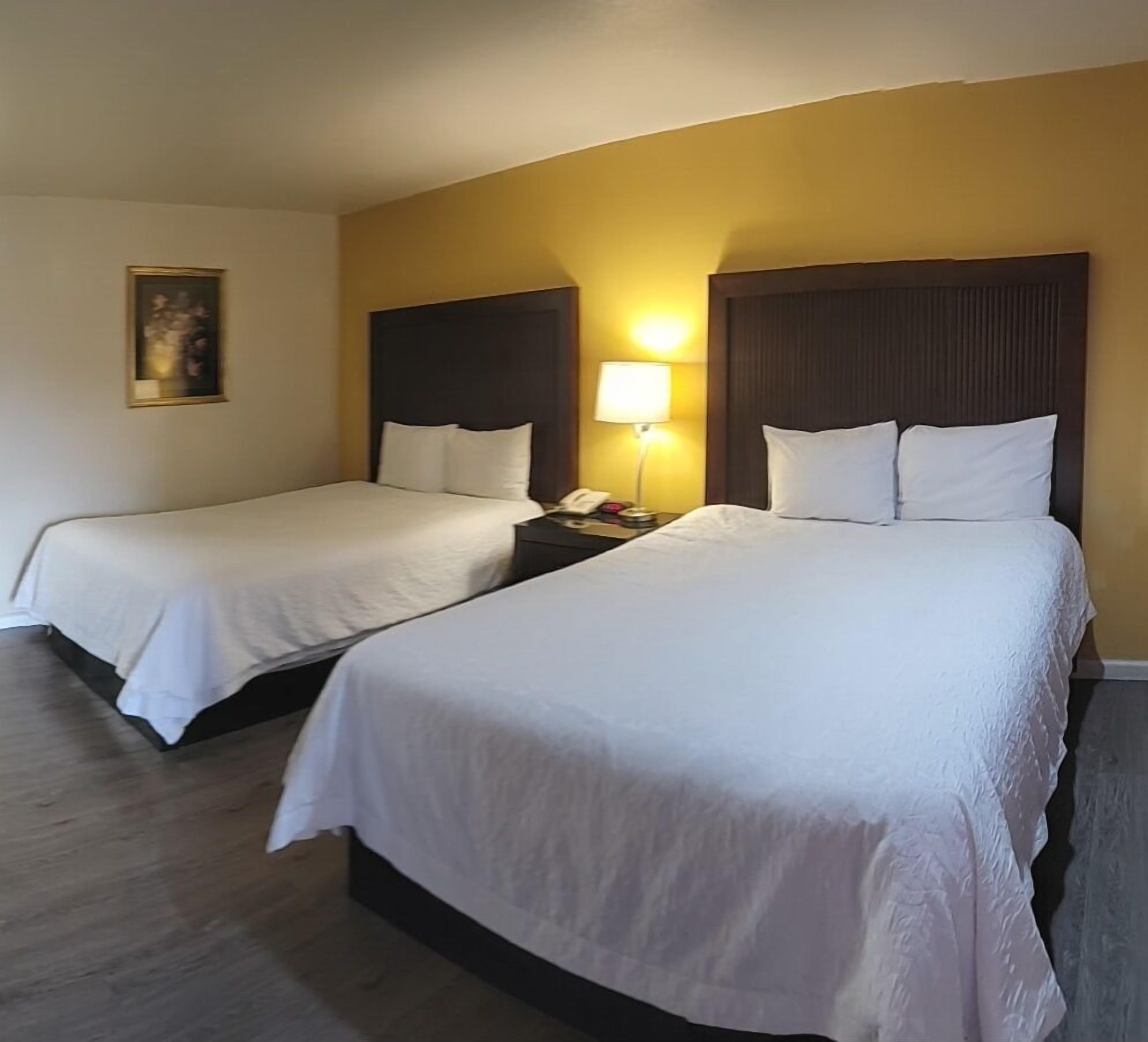A hotel room with two single beds, a nightstand with a lamp, and a painting on the wall.