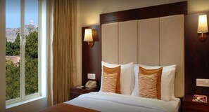 Deluxe Room | View from room