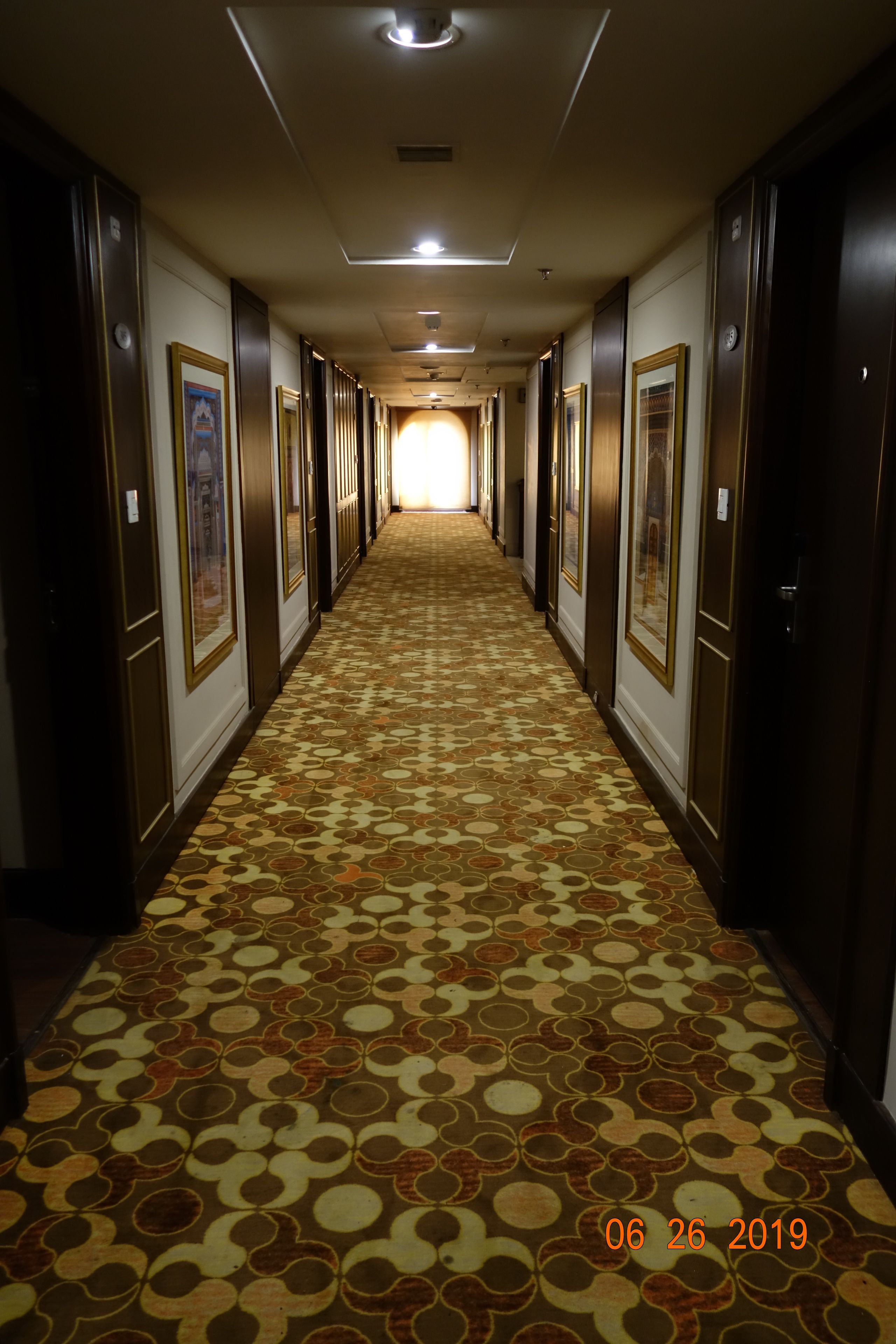 Un pasillo de hotel con alfombra estampada, puertas a ambos lados y cuadros enmarcados en las paredes.