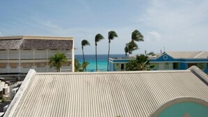 A coastal building with a corrugated metal roof, palm trees, and a view of the ocean.
