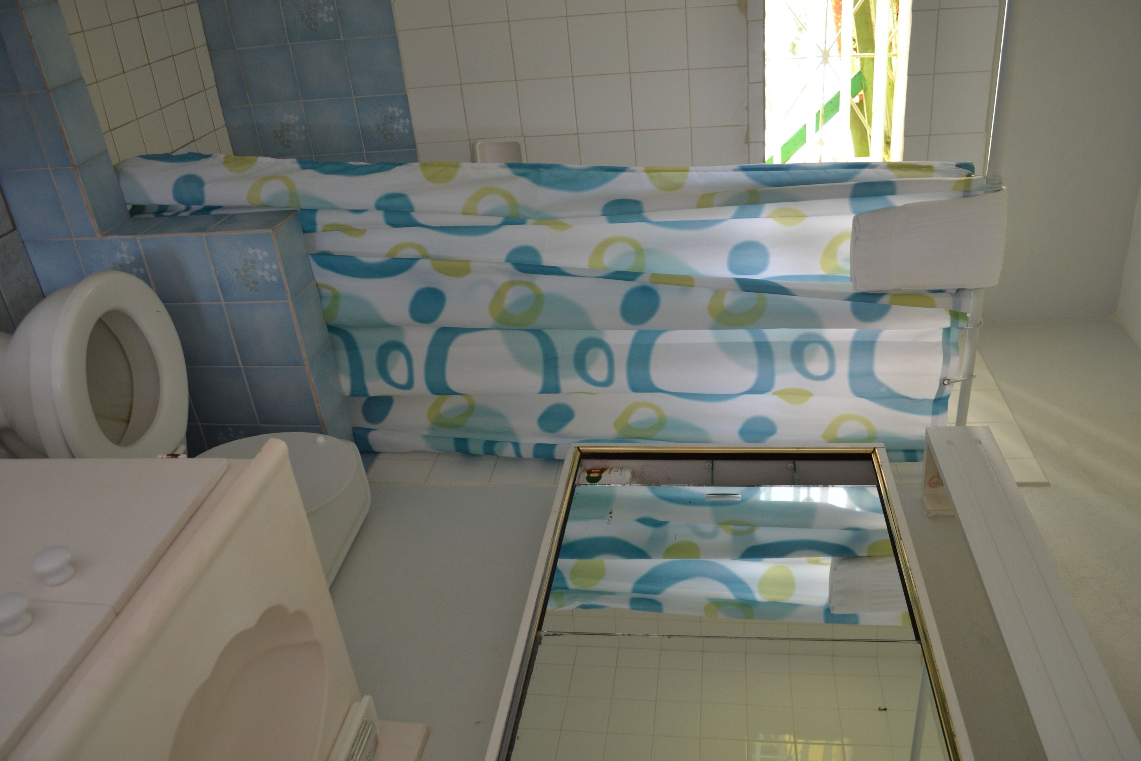 combined shower/bathtub, hair dryer, towels