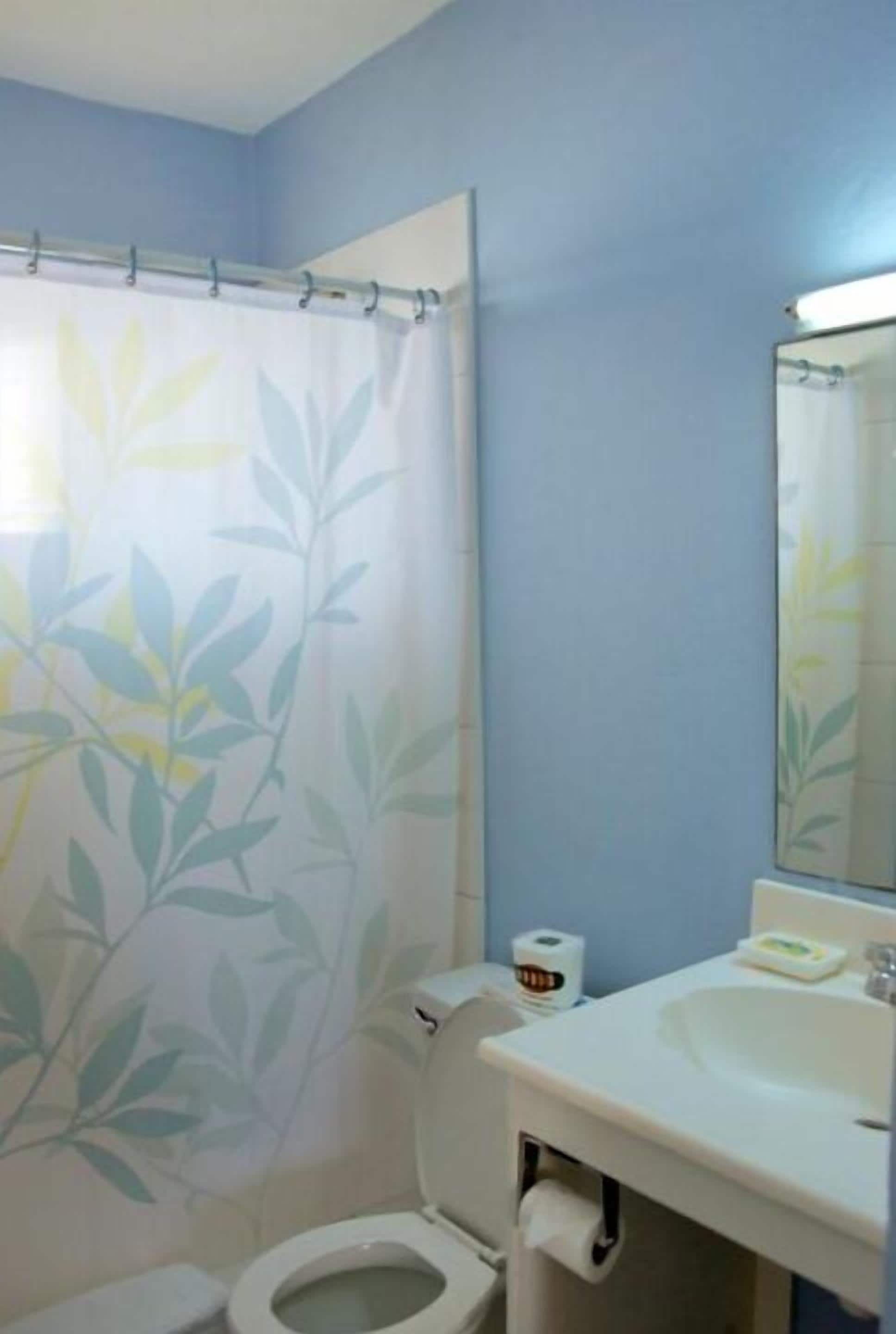 combined shower/bathtub, hair dryer, towels