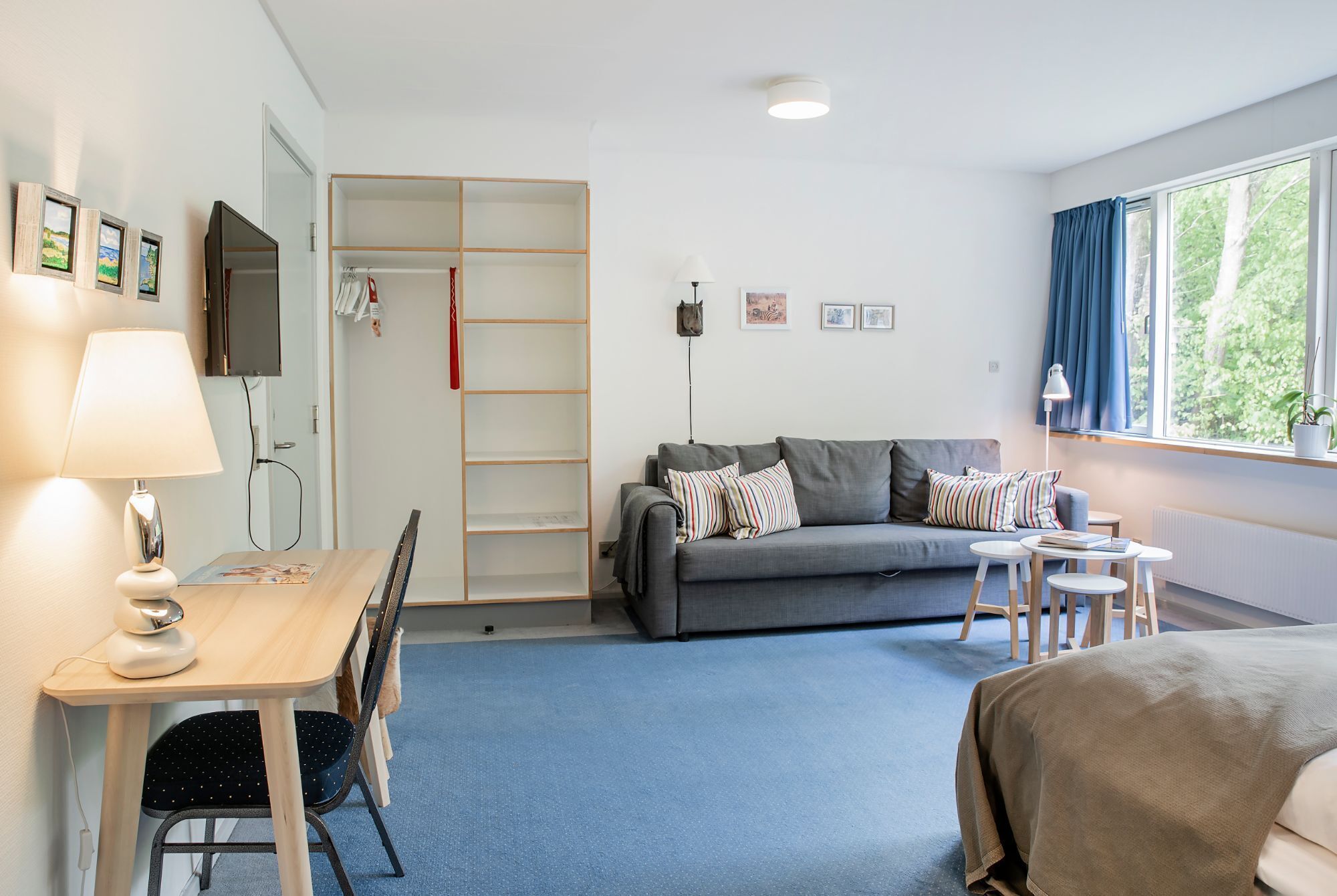 A modern, well-lit room with a grey sofa, a small table, a TV, and a window with curtains.