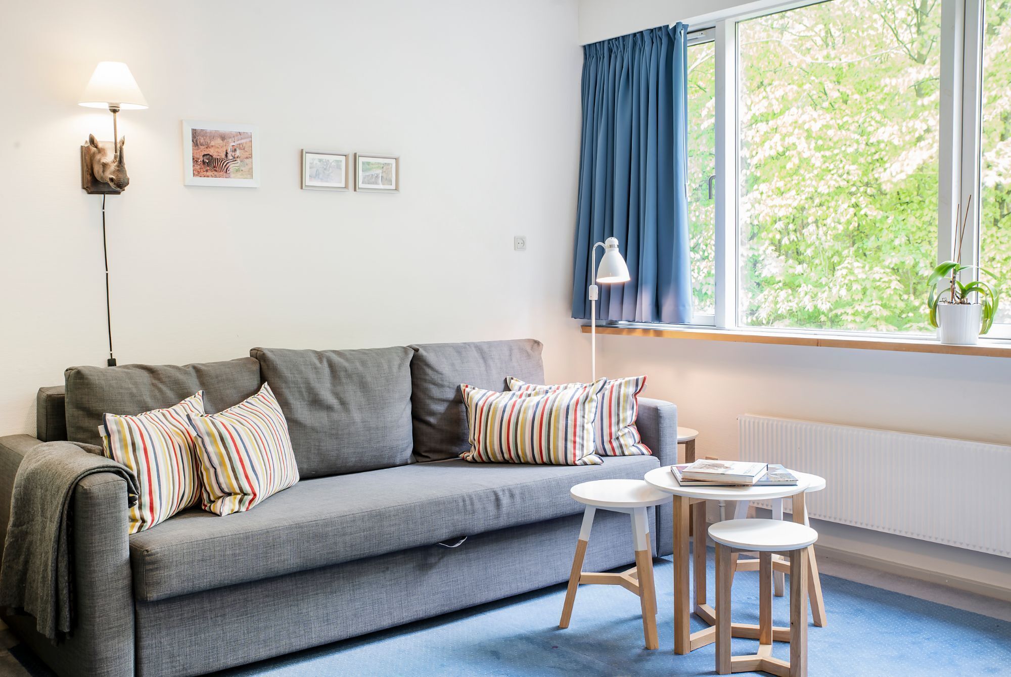 Family Room | Living area | Flat-screen TV