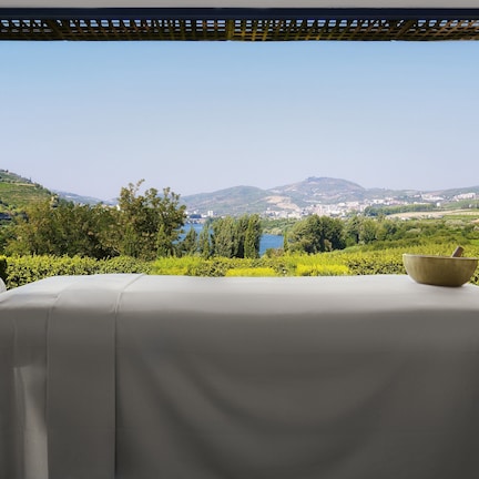 A room with a view of a vineyard and mountains, a table with a bowl, and a chair.