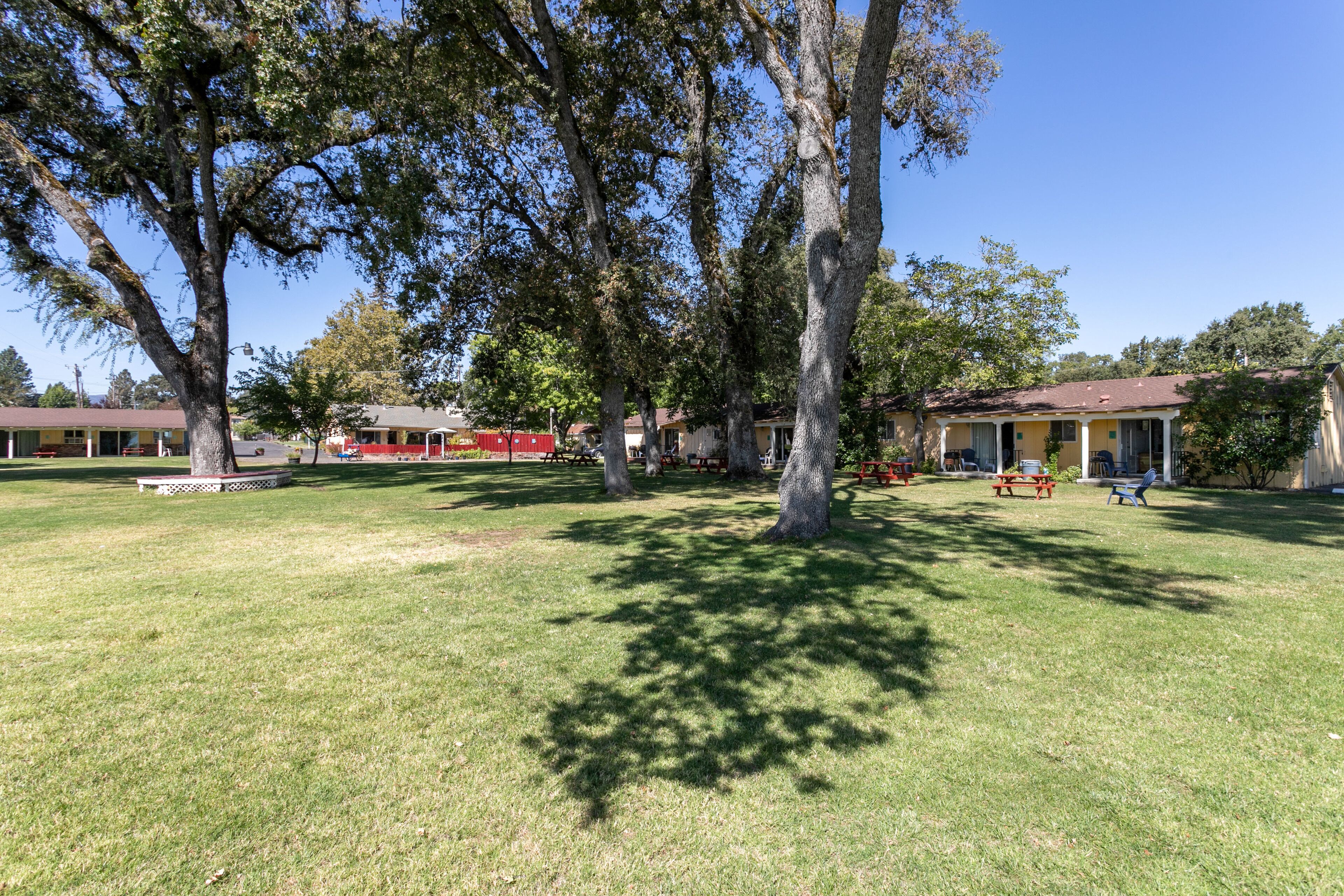 Un espacio verde con mesas de picnic y un edificio de fachada amarilla.