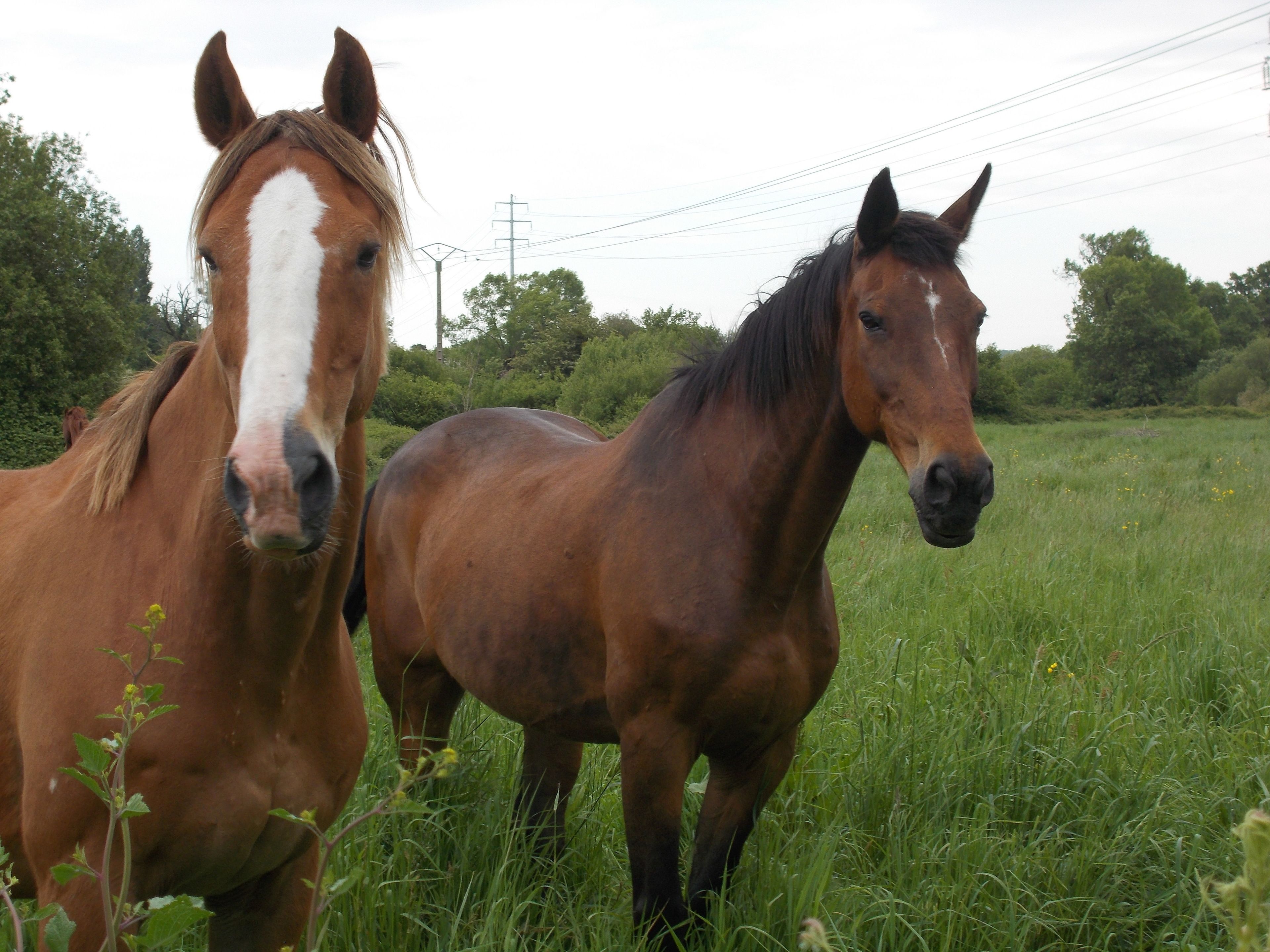 Foto - Premiere Classe Deauville Touques