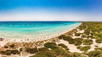 鄰近海灘、白沙、免費海灘接駁車