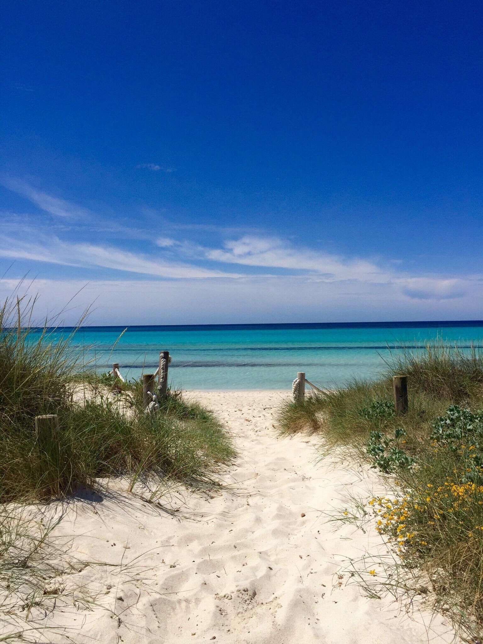 Vlak bij het strand, wit zand